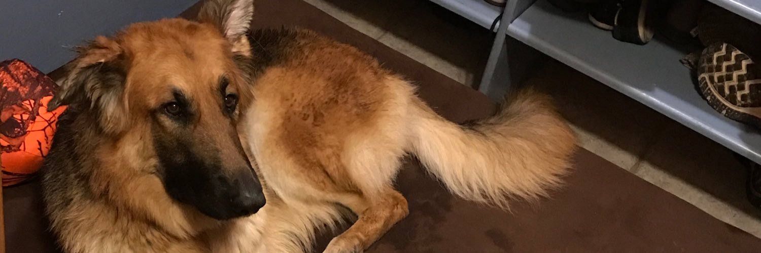 jschweick56's profile banner image