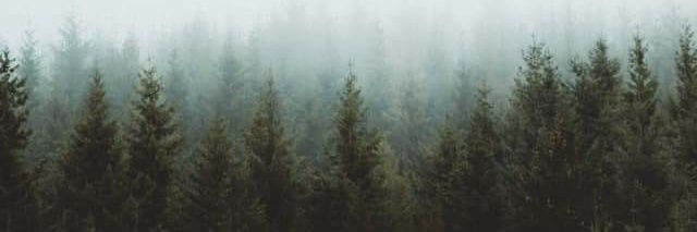 thisisme_xo's profile banner image