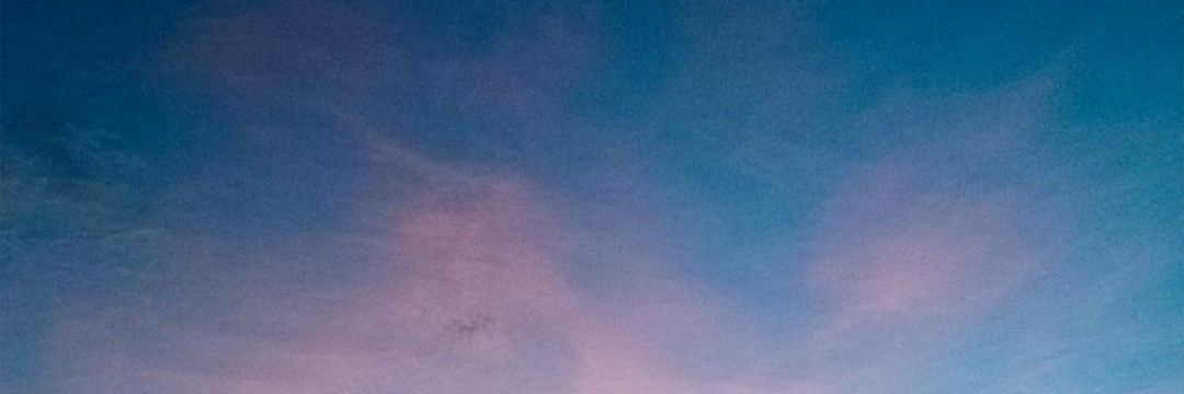 vickymiau🌞✨ banner