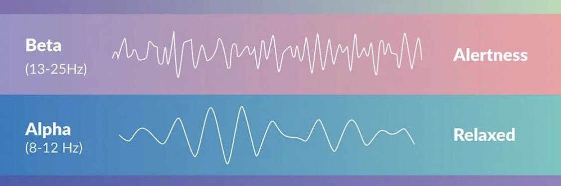 Dale o'Gherkins 👑🧙‍♂️🧩🐂 banner