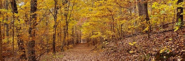 shellycburch Profile Banner