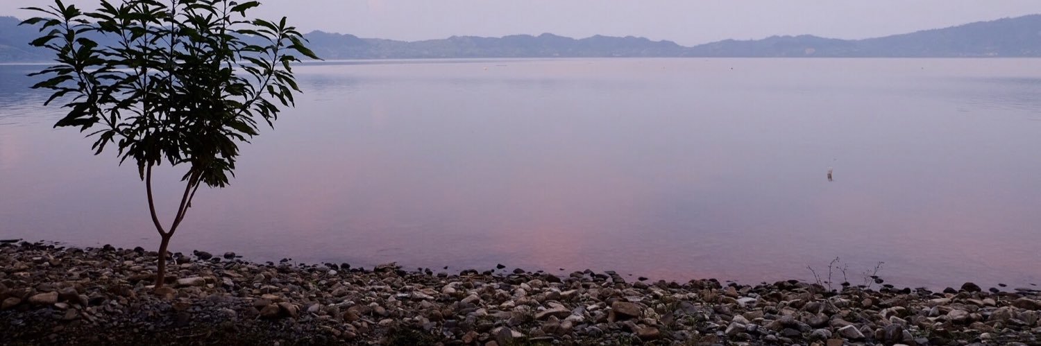 helena_borrell's profile banner image