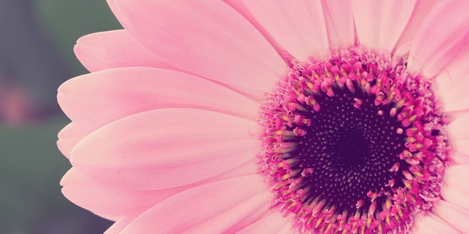 mellokitty07's profile banner image