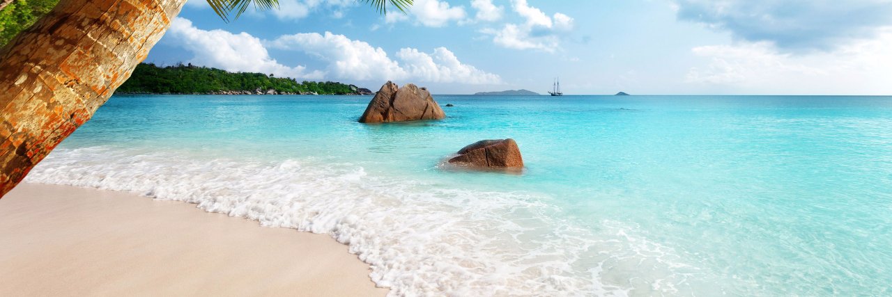 Jeff Holicky 🤔 banner