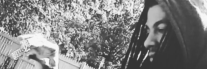 SGMTDiesel's profile banner image