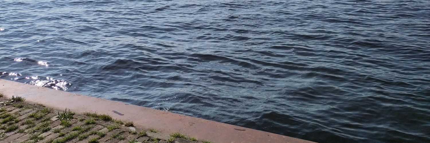 MartieForall's profile banner image