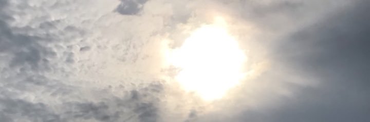 panirxe's profile banner image