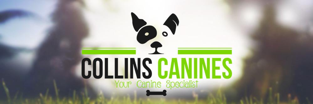 CollinsCanines's profile banner image