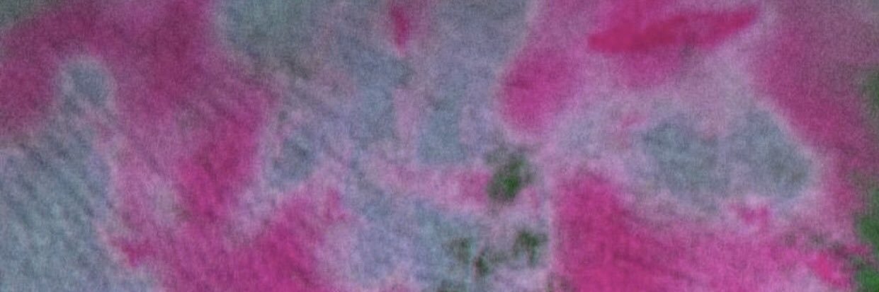 oliveseriksson's profile banner image