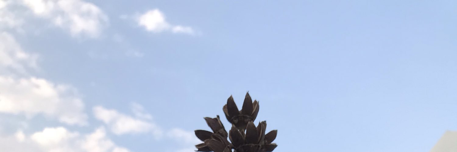 DeawEthereal's profile banner image
