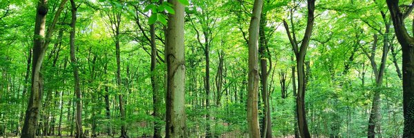 phil_grau Profile Banner