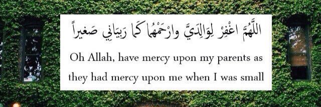 Akram 🪴‏🛋️ banner