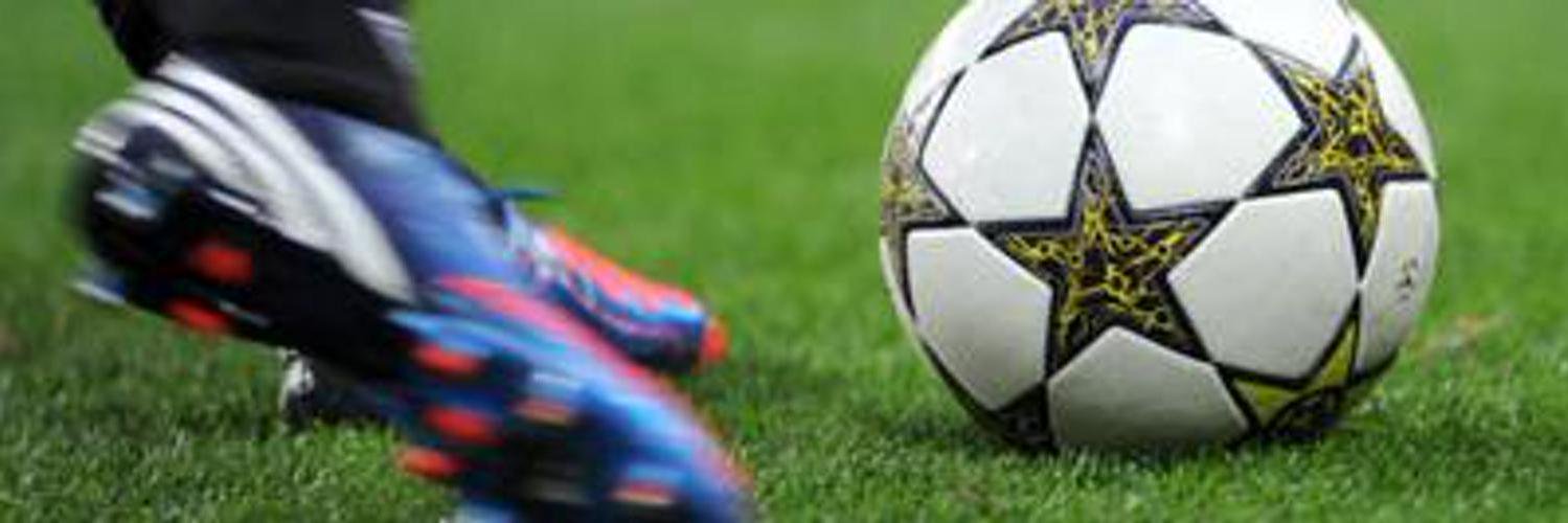 The Realistic banner