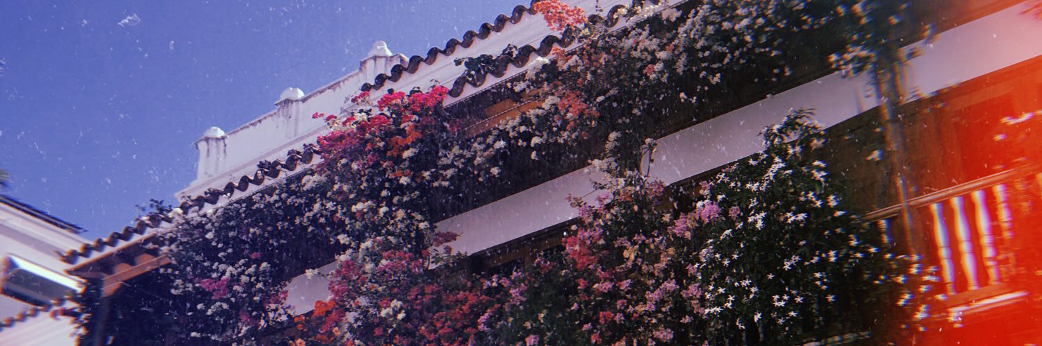 JuliLatini's profile banner image