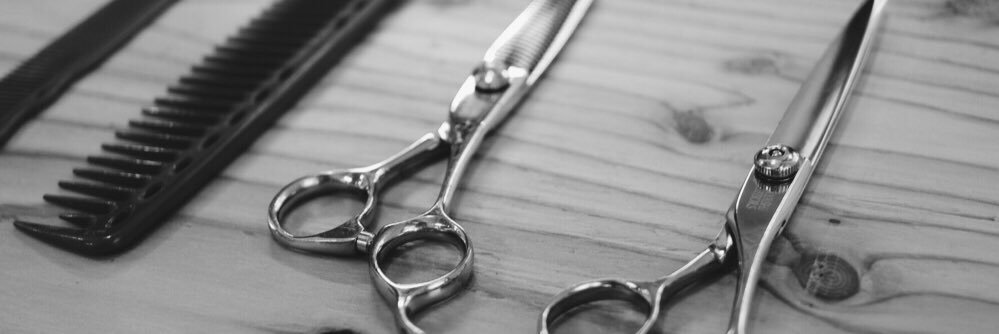 tool_hair's profile banner image