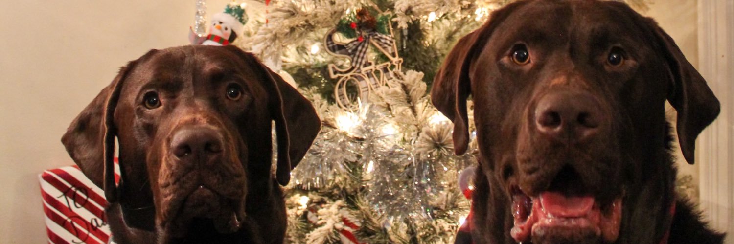 jenniferm_ely's profile banner image