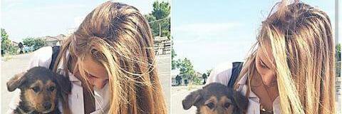 POLVATOX's profile banner image