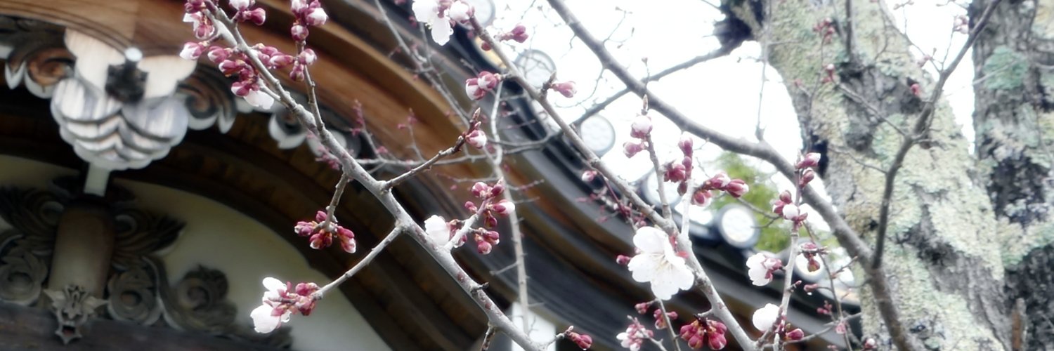 edo_trip's profile banner image