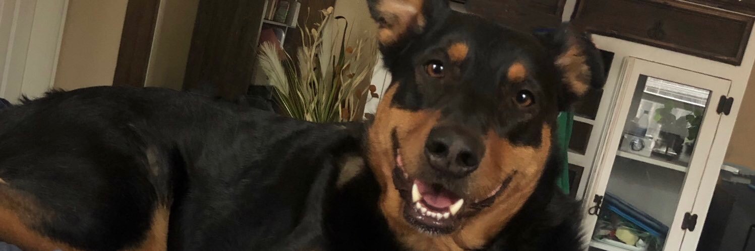 ChancePryor6's profile banner image