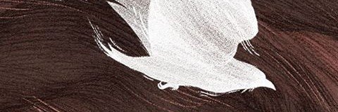 ehshien3's profile banner image