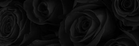 myranouva's profile banner image