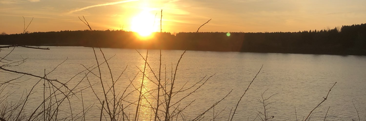 NickkiChristine's profile banner image