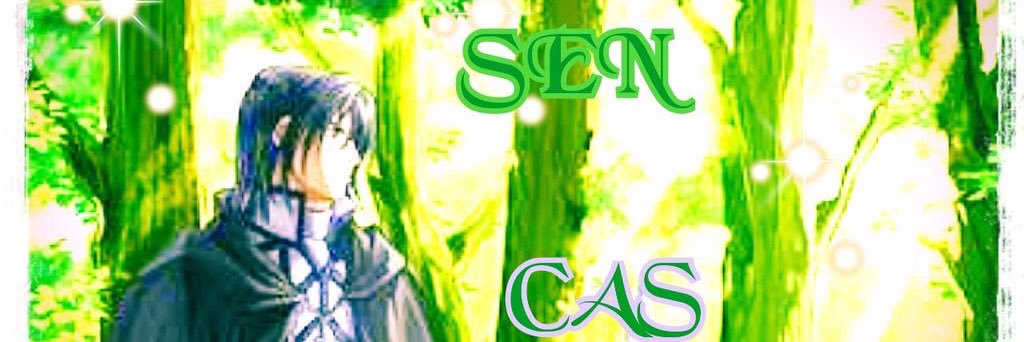 sen_0983's profile banner image