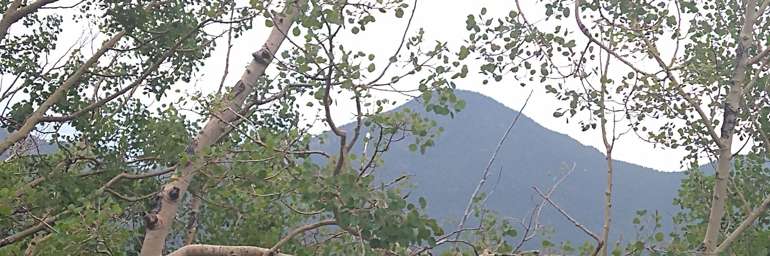 bschwintz's profile banner image