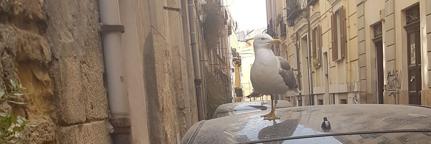 mtopie's profile banner image