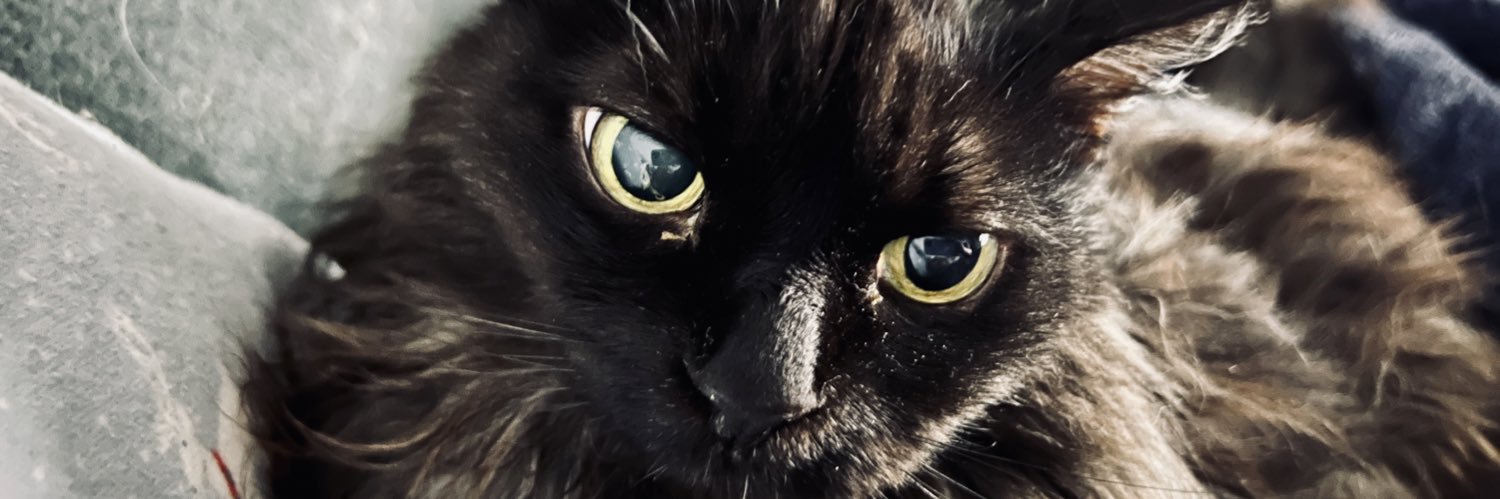 jewba's profile banner image