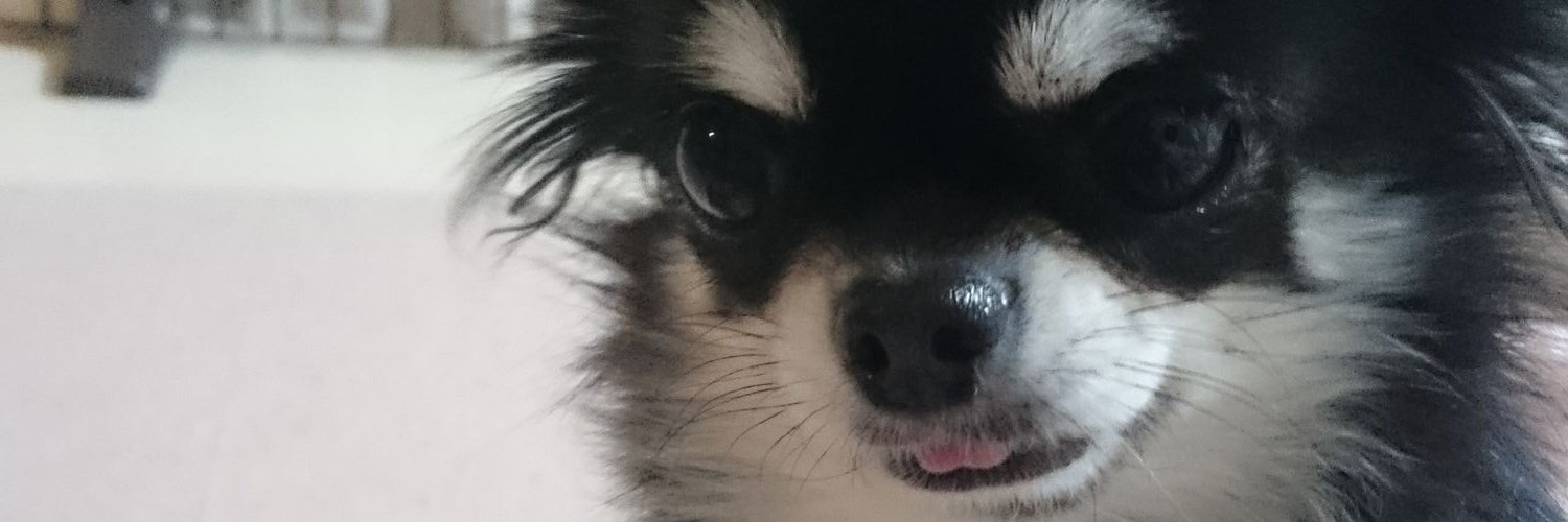 lumberjackandy1's profile banner image