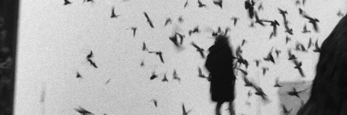 parriagajordan's profile banner image