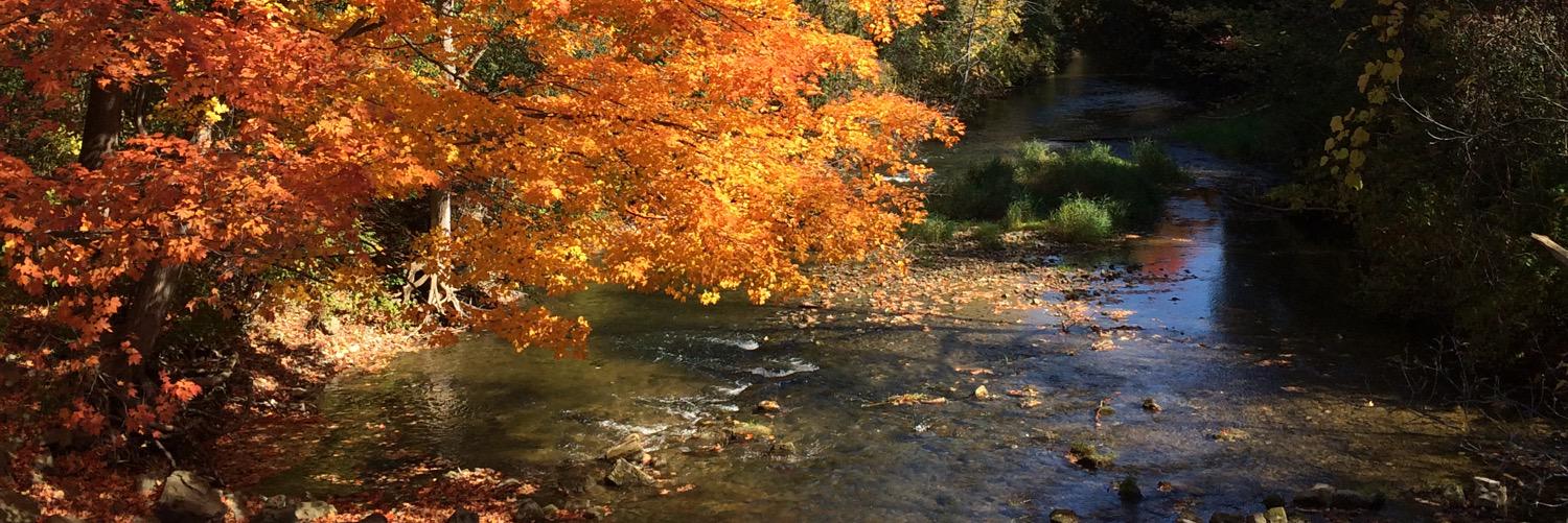 abbysmith44's profile banner image