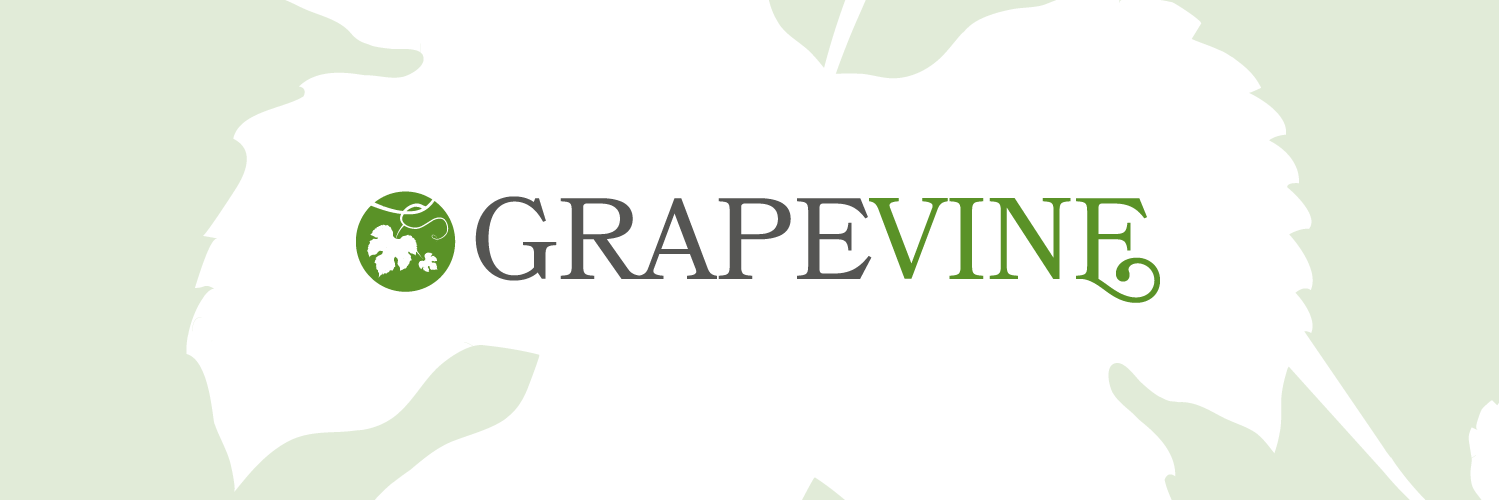 gvreview's profile banner image
