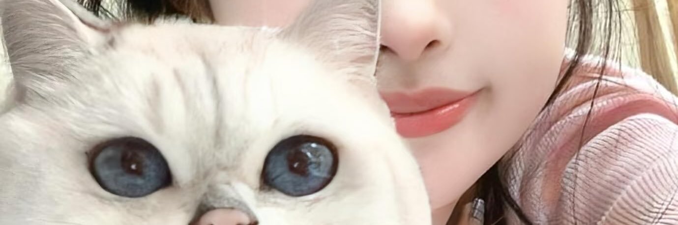 阴雨天 banner