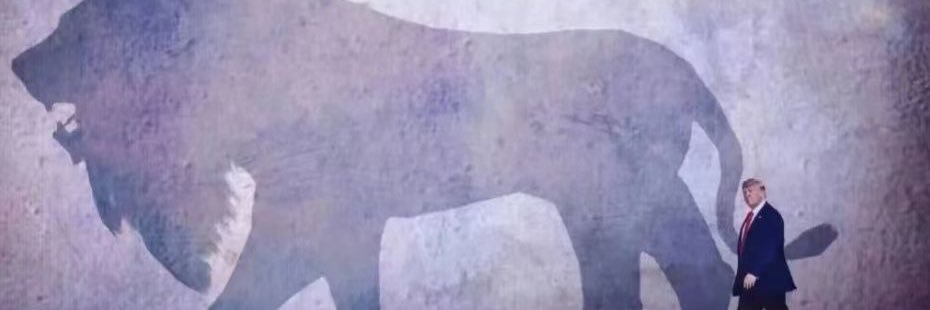 bg4akk's profile banner image