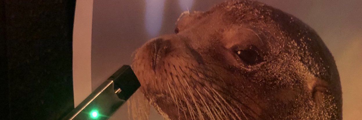 CoolPooLord's profile banner image
