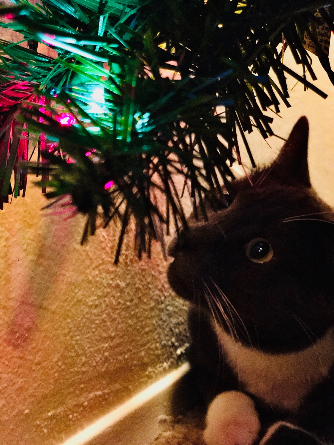 twodoyle's profile banner image