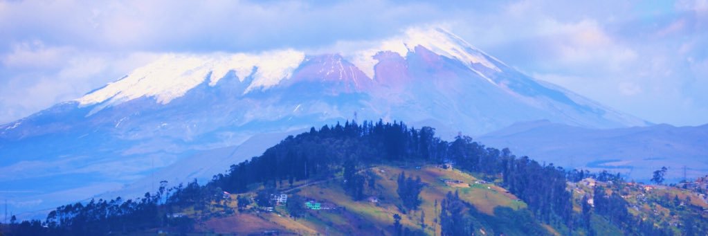 ninjaterdel's profile banner image