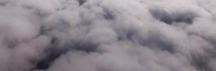 x_17w's profile banner image