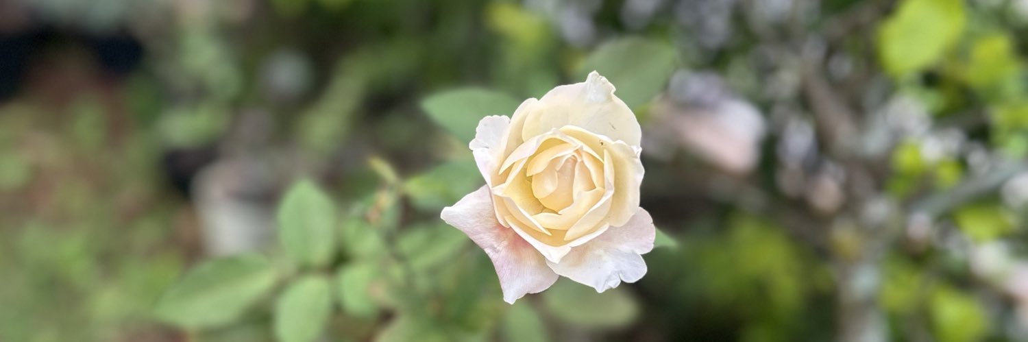 nanianne's profile banner image