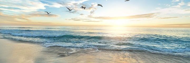 SweetP922's profile banner image
