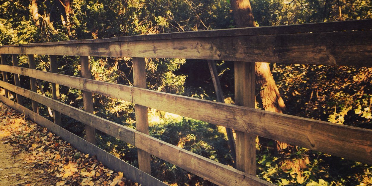 kelswhitt's profile banner image