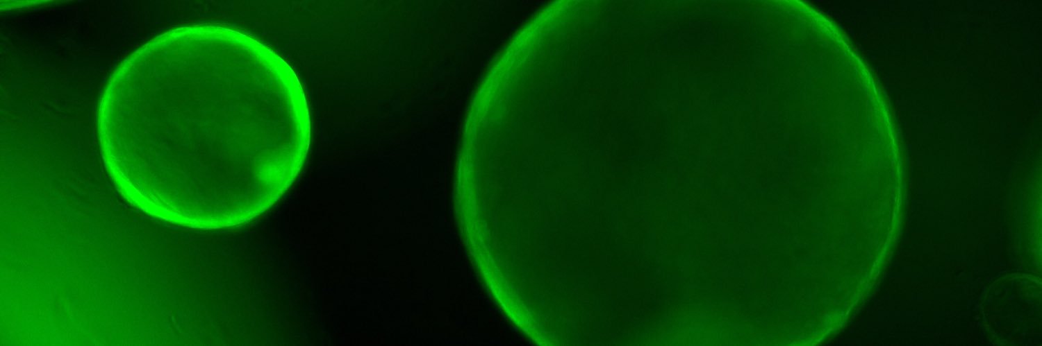 jonkastan's profile banner image