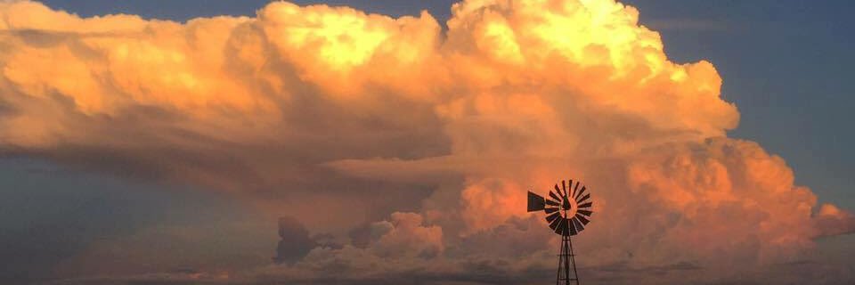 brandileesmith's profile banner image