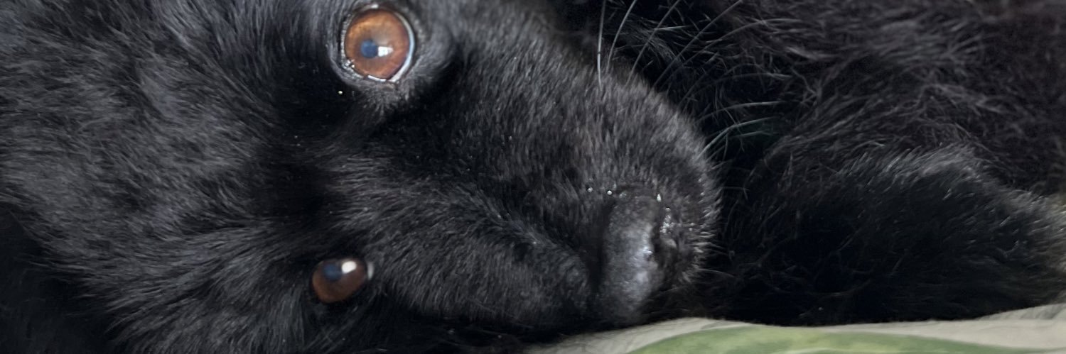 Bb_Requ1's profile banner image