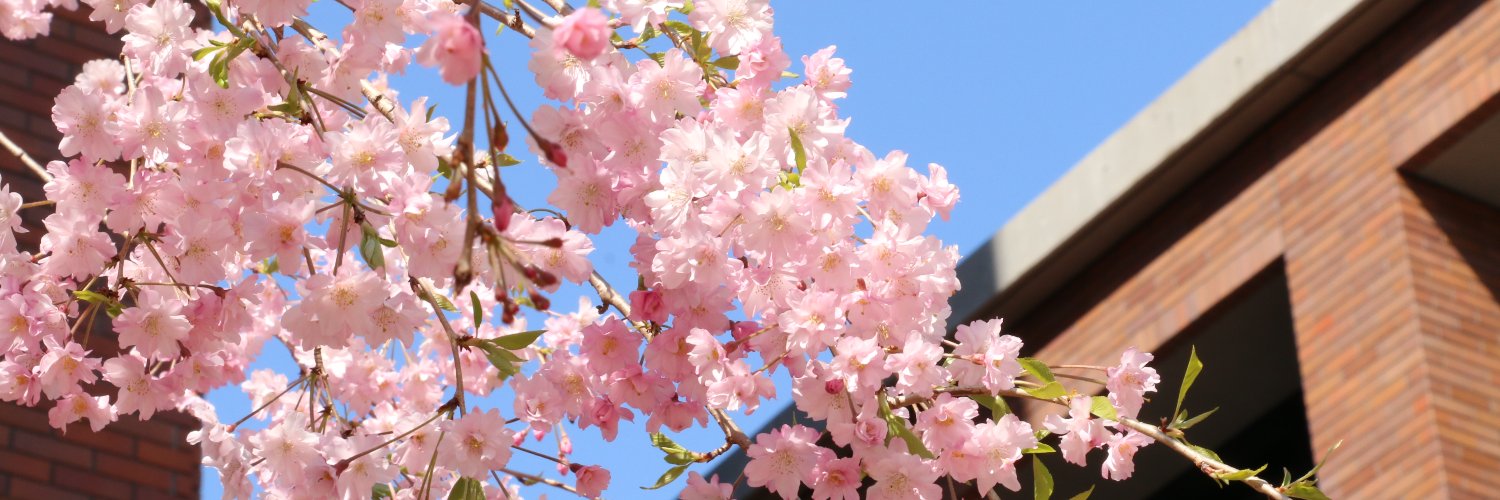KPU_Shien's profile banner image