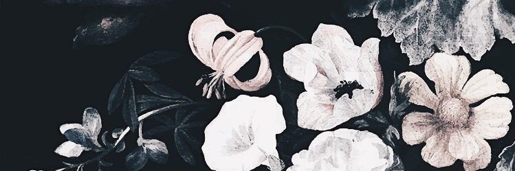 merinalestari's profile banner image