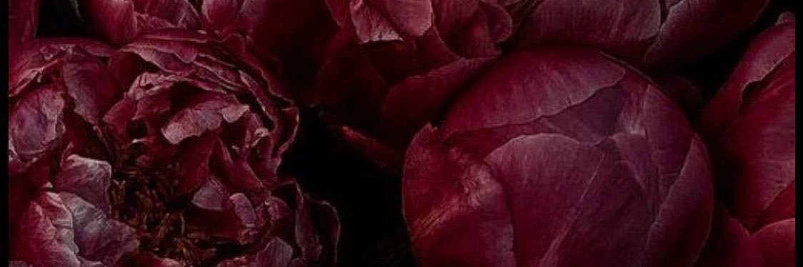 SteffieIsla's profile banner image