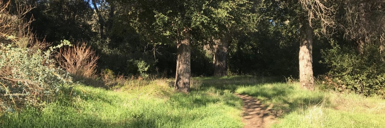 EricBFuller's profile banner image